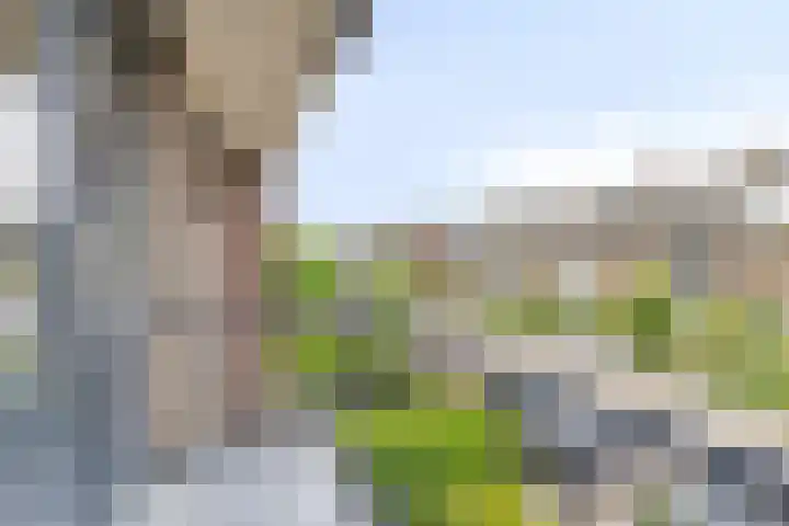 Jacob Catslaan 28 Capelle aan den IJssel thumbnail 15