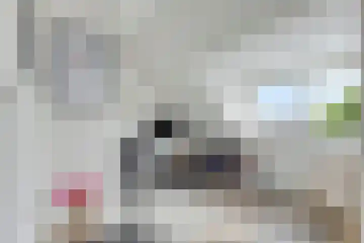 Jacob Catslaan 28 Capelle aan den IJssel thumbnail 21
