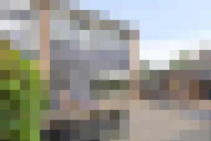 Jacob Catslaan 28 Capelle aan den IJssel thumbnail 26