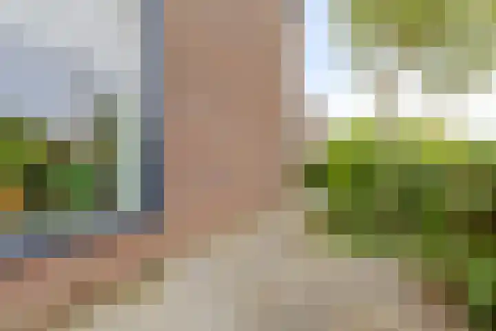 Jacob Catslaan 28 Capelle aan den IJssel thumbnail 33