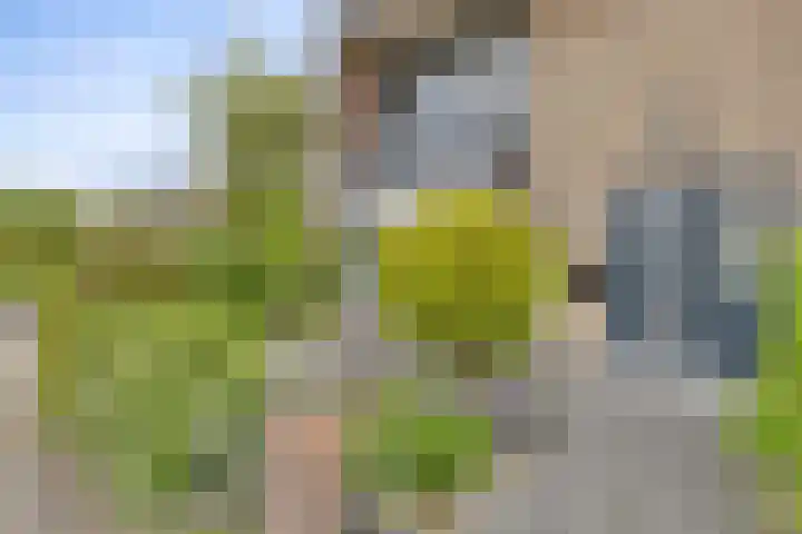 Jacob Catslaan 28 Capelle aan den IJssel thumbnail 34