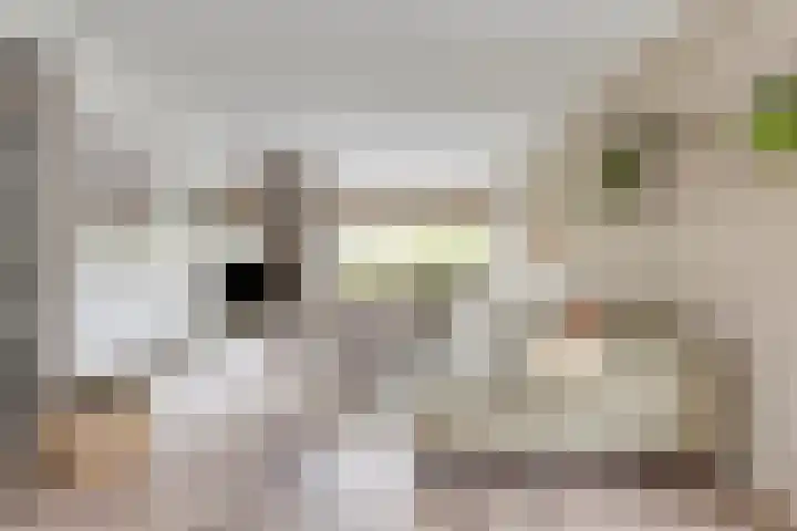 Jacob Catslaan 28 Capelle aan den IJssel thumbnail 6