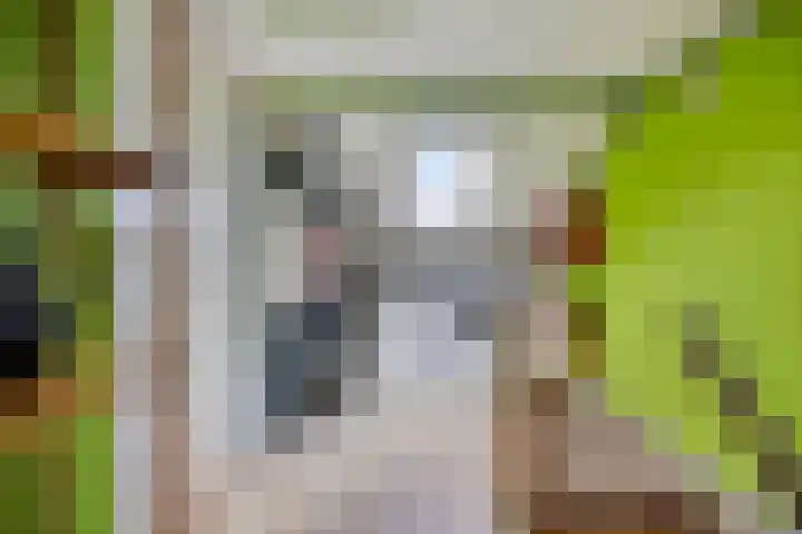 Jacob Catslaan 28 Uithoorn thumbnail 17