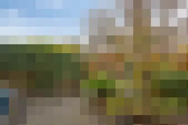 Jacob Catslaan 28 Uithoorn thumbnail 20