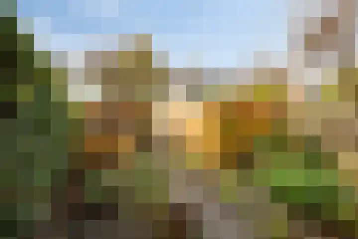 Jacob Catslaan 28 Uithoorn thumbnail 21