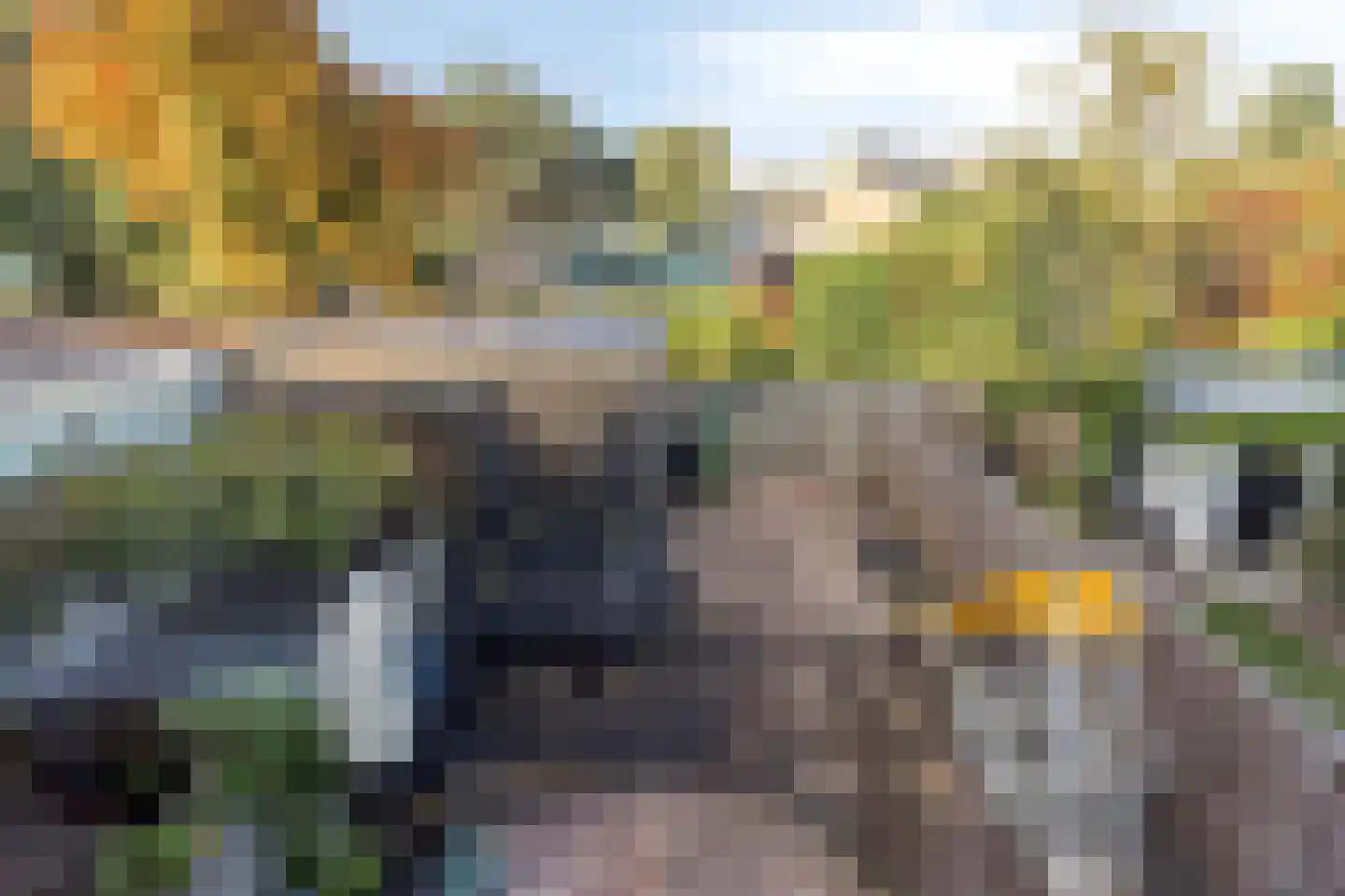 Jacob Catslaan 3 Capelle aan den IJssel thumbnail 16