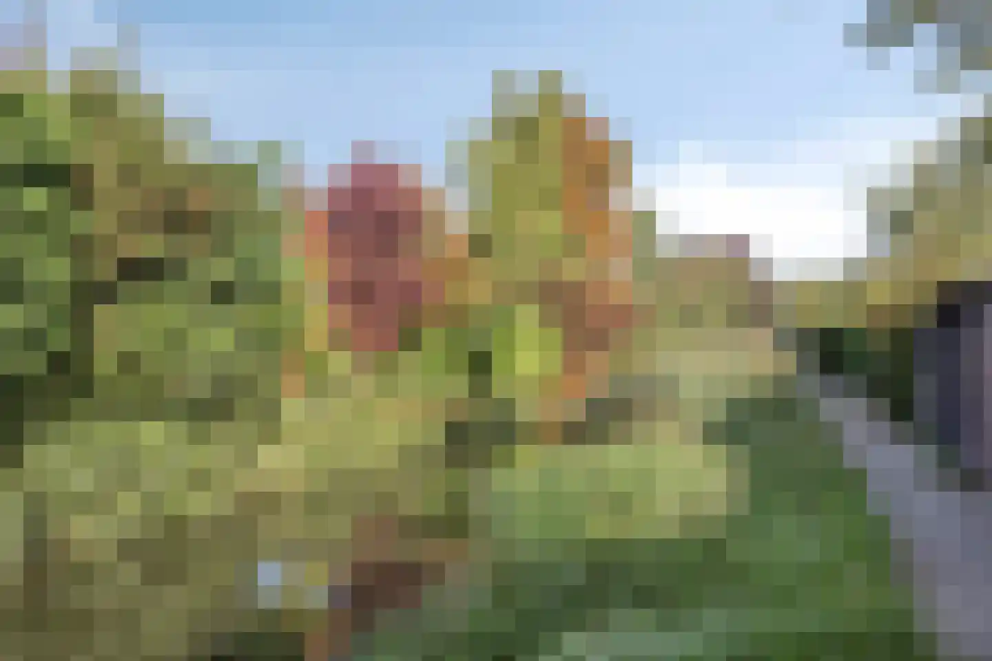 Jacob Catslaan 3 Capelle aan den IJssel thumbnail 34