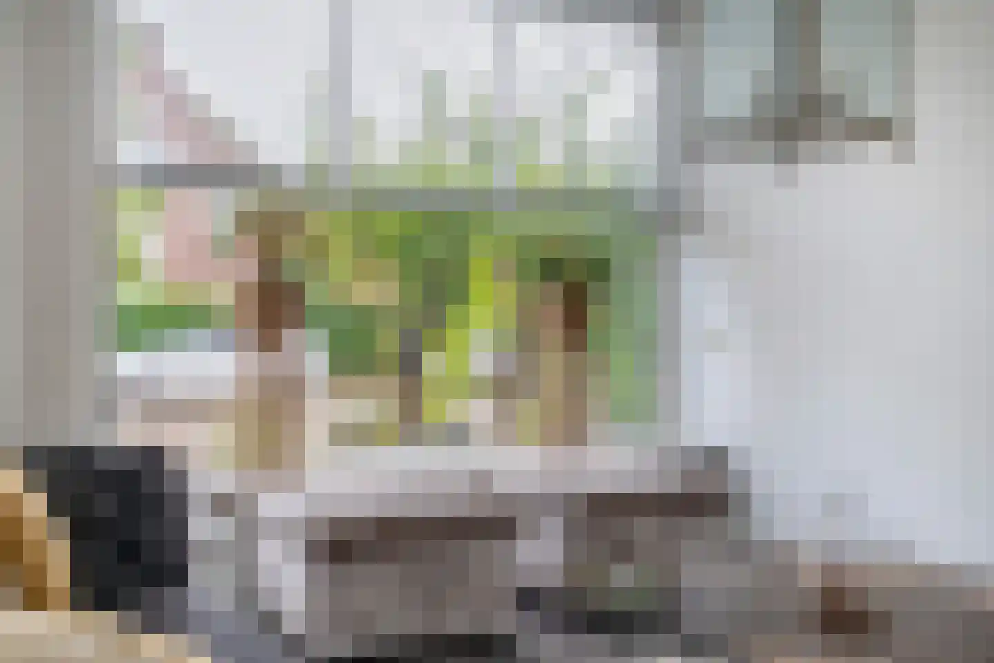 Jacob Catslaan 3 Capelle aan den IJssel thumbnail 8