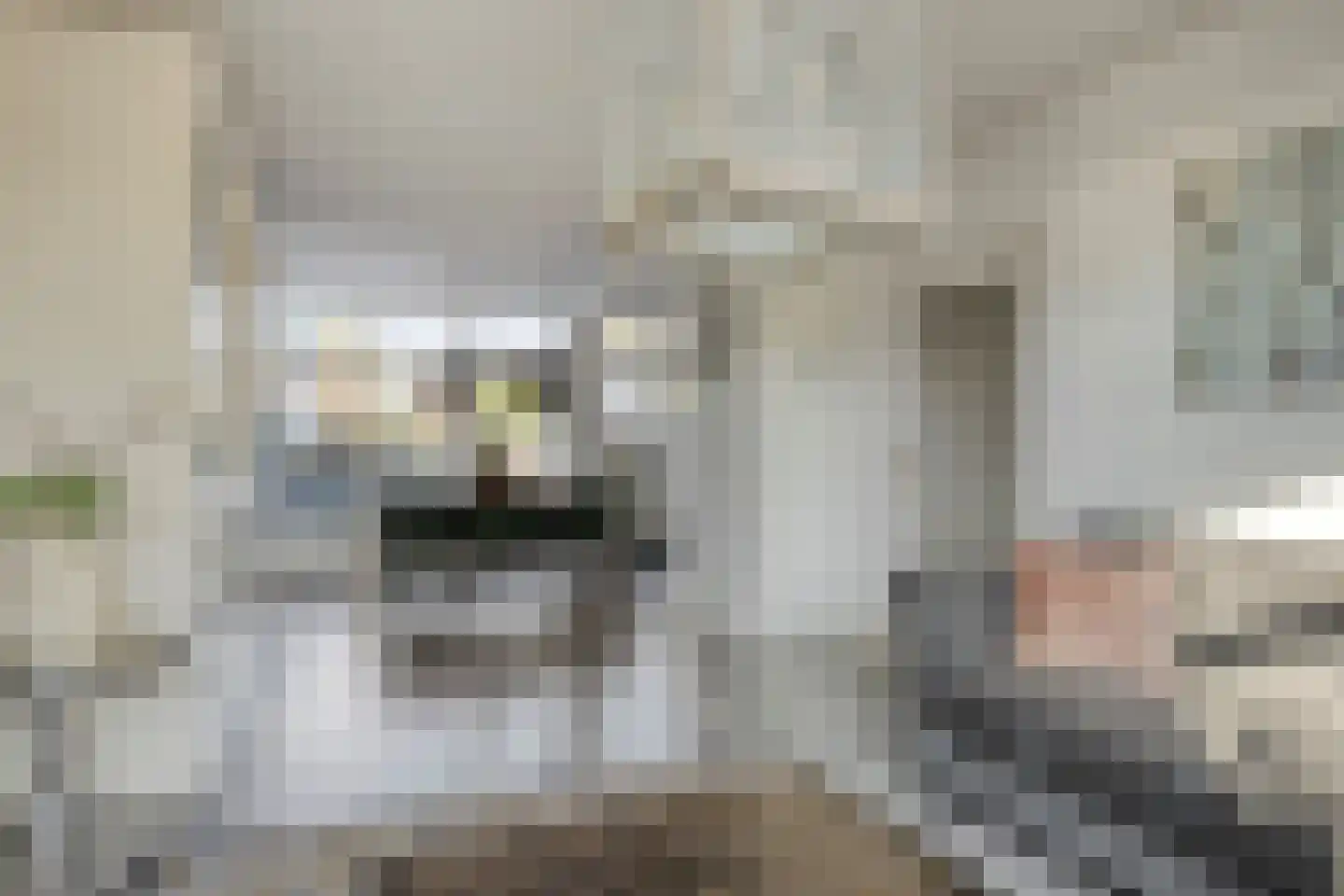 Jacob Catslaan 3 Capelle aan den IJssel thumbnail 8