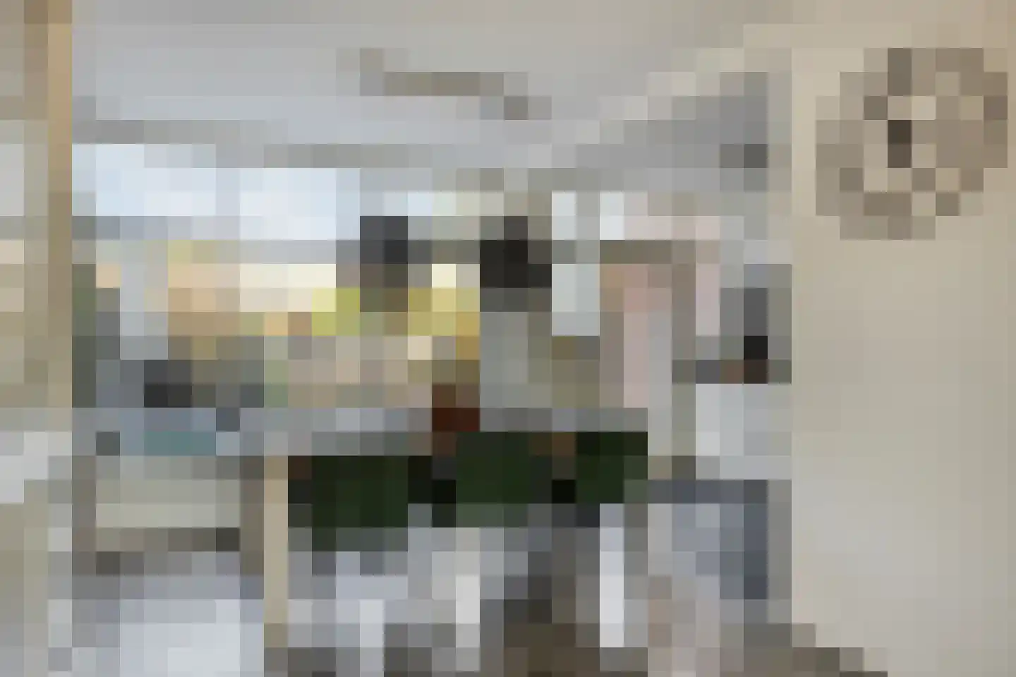 Jacob Catslaan 3 Capelle aan den IJssel thumbnail 9