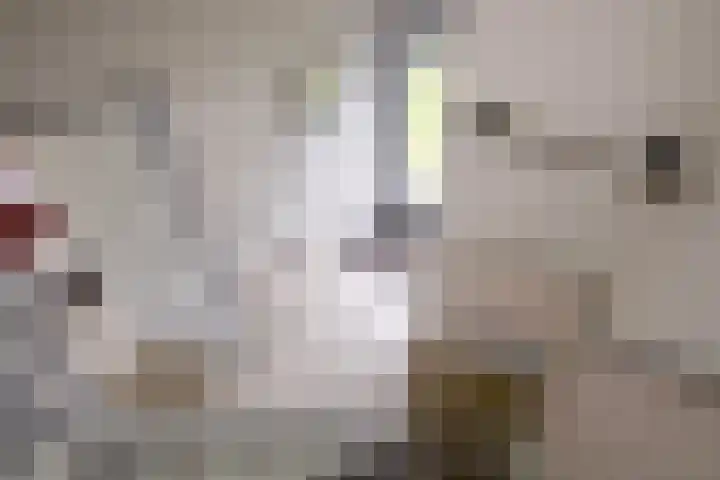 Jacob Catslaan 3 Deventer thumbnail 17