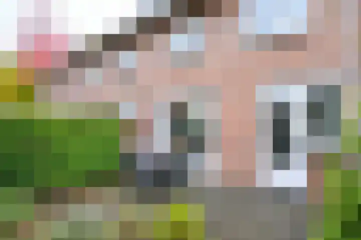 Jacob Catslaan 3 Deventer thumbnail 36