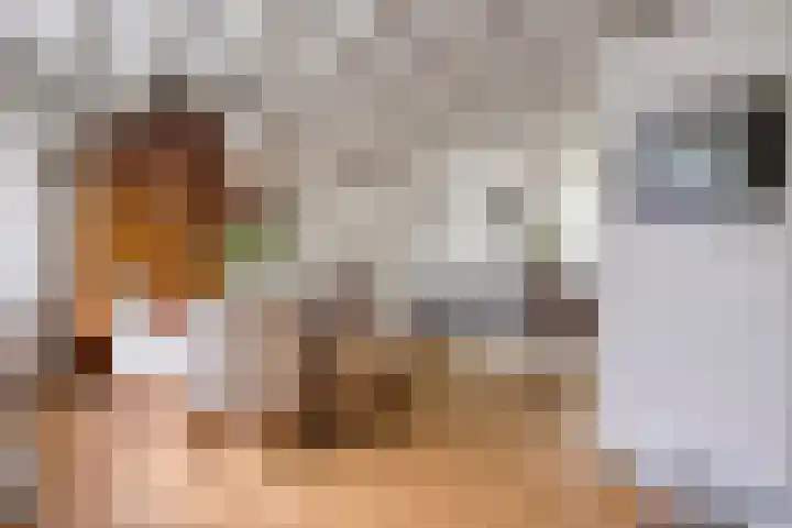 Jacob Catslaan 3 Vlissingen thumbnail 10