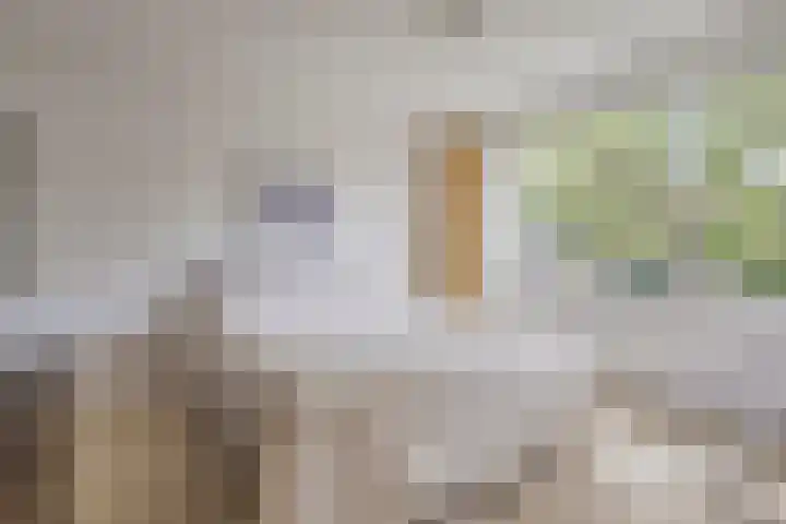 Jacob Catslaan 3 Vlissingen thumbnail 14