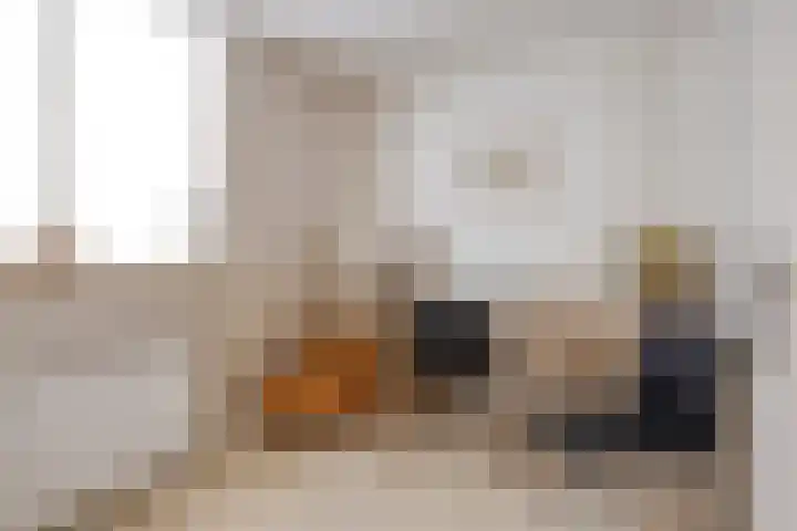 Jacob Catslaan 3 Vlissingen thumbnail 20