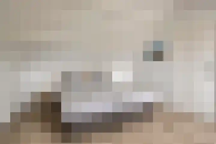 Jacob Catslaan 3 Vlissingen thumbnail 24