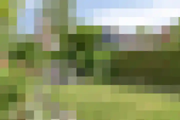 Jacob Catslaan 3 Vlissingen thumbnail 26