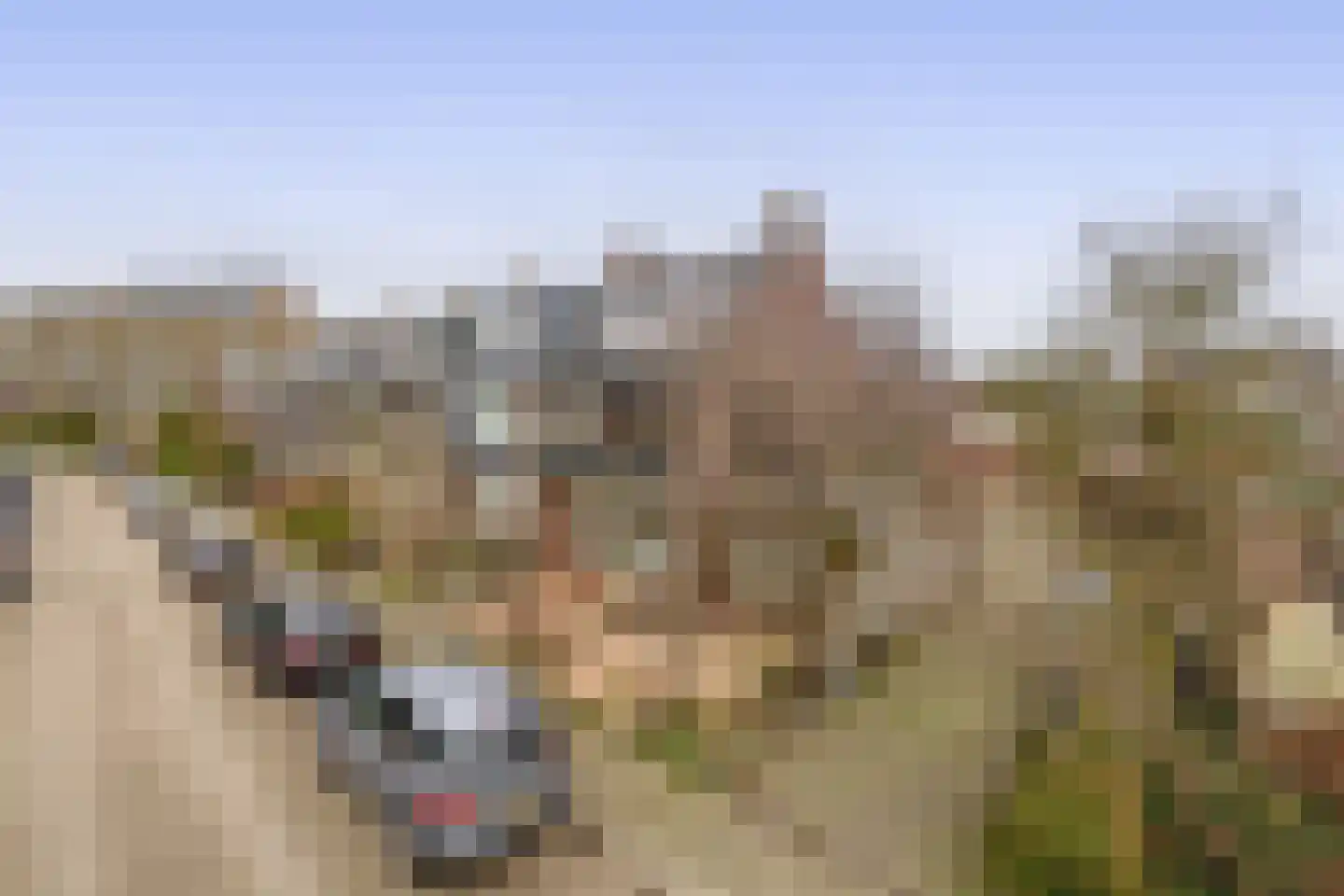 Jacob Catslaan 30 Capelle aan den IJssel thumbnail 53