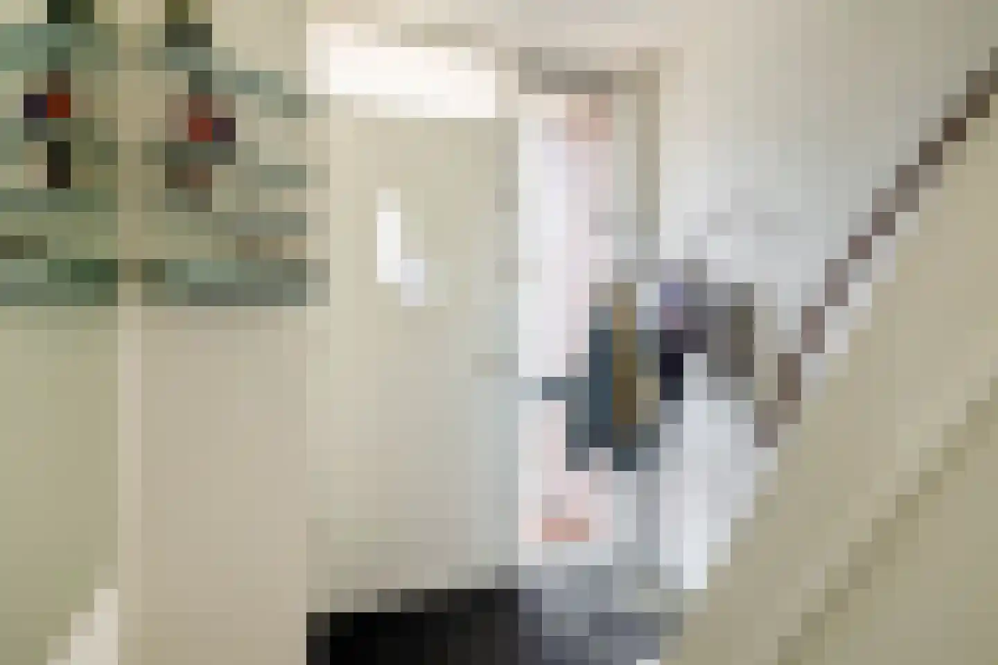 Jacob Catslaan 30 Capelle aan den IJssel thumbnail 8