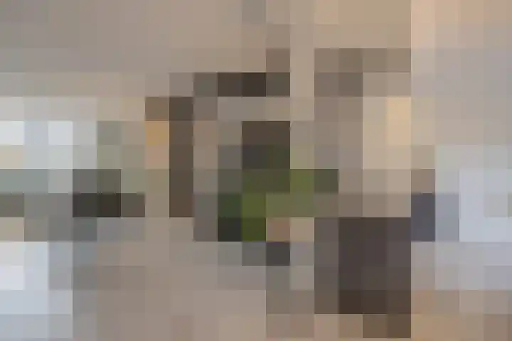 Jacob Catslaan 31 Etten-Leur thumbnail 17