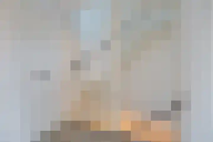 Jacob Catslaan 31 Etten-Leur thumbnail 21