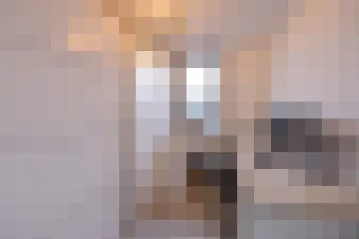 Jacob Catslaan 31 Etten-Leur thumbnail 24