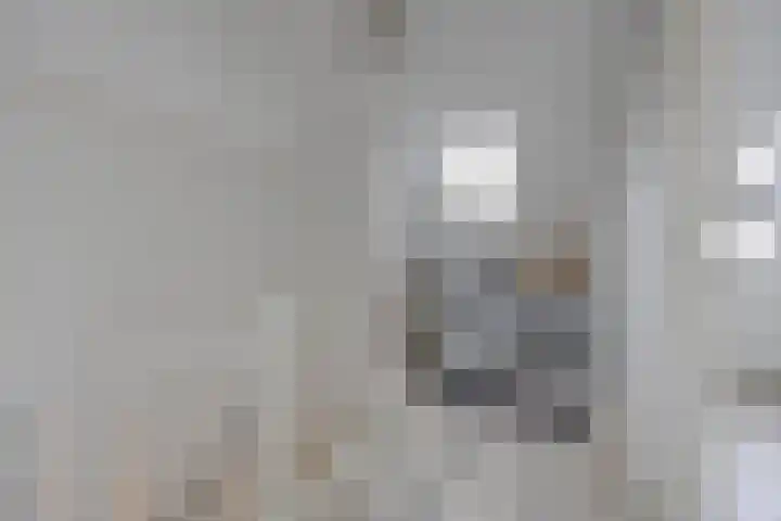 Jacob Catslaan 31 Etten-Leur thumbnail 32