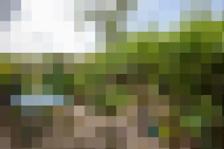 Jacob Catslaan 32 Uithoorn thumbnail 29