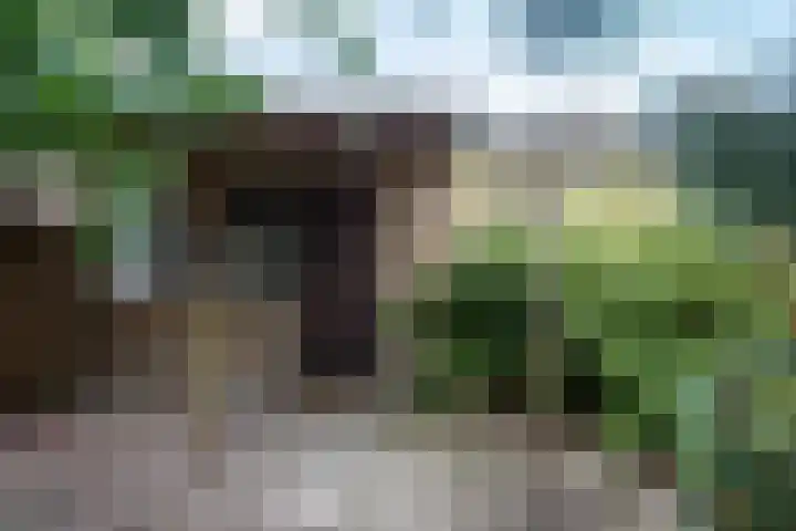 Jacob Catslaan 32 Uithoorn thumbnail 31
