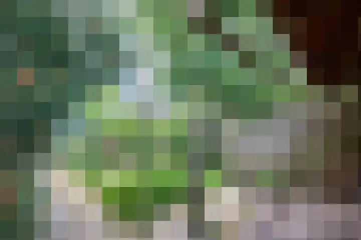 Jacob Catslaan 32 Uithoorn thumbnail 32