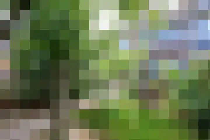 Jacob Catslaan 32 Uithoorn thumbnail 33