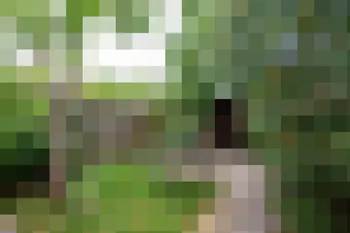 Jacob Catslaan 32 Uithoorn thumbnail 5
