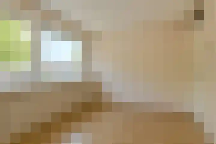 Jacob Catslaan 34 Oosterhout thumbnail 13