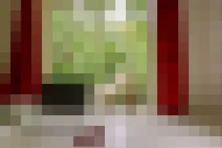 Jacob Catslaan 4 Den Haag thumbnail 17