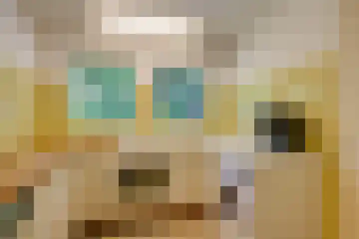 Jacob Catslaan 4 Den Haag thumbnail 21