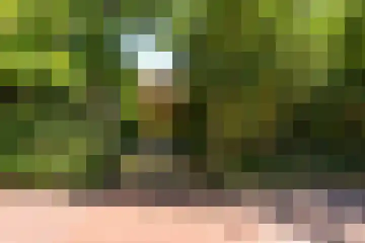 Jacob Catslaan 4 Den Haag thumbnail 39