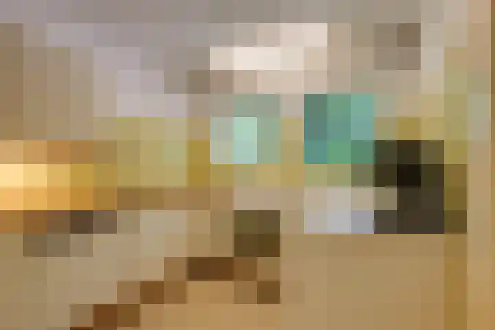 Jacob Catslaan 4 Den Haag thumbnail 4