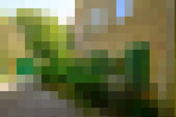 Jacob Catslaan 4 Den Haag thumbnail 42