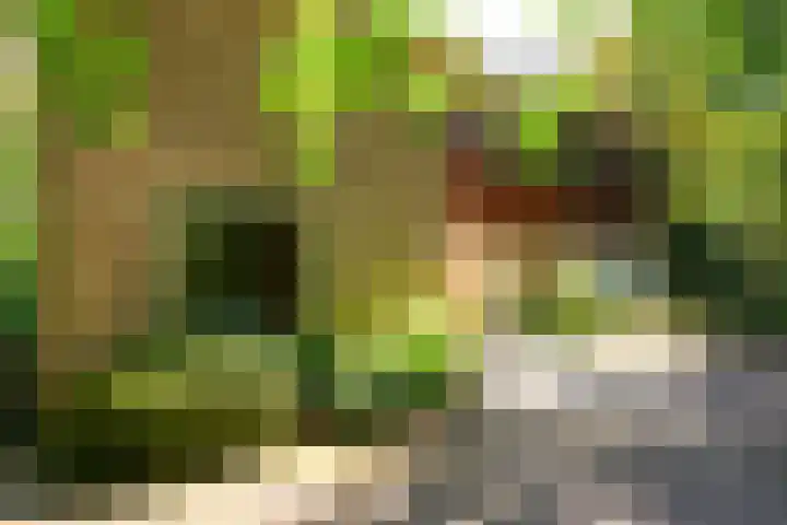 Jacob Catslaan 4 Den Haag thumbnail 43
