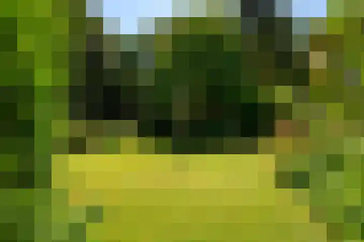 Jacob Catslaan 4 Den Haag thumbnail 5