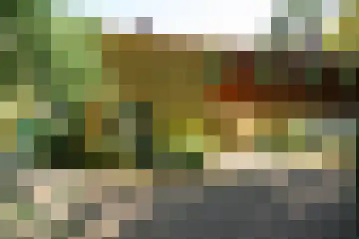 Jacob Catslaan 4 Den Haag thumbnail 6