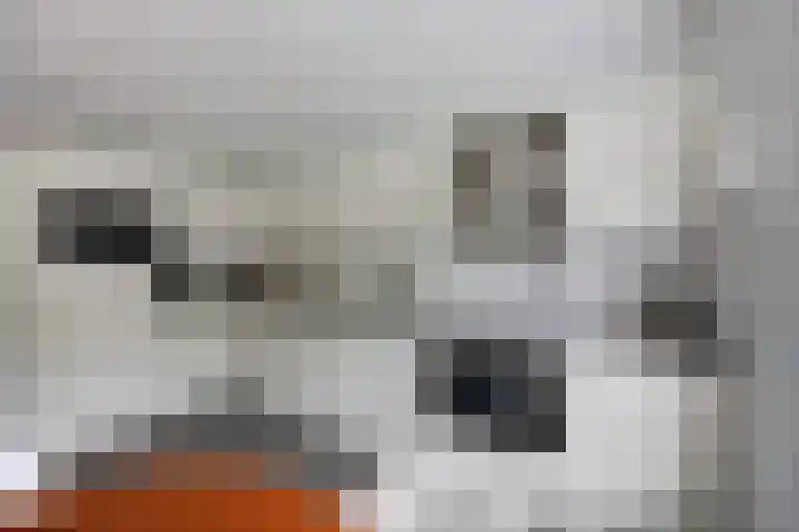 Jacob Catslaan 4 Etten-Leur thumbnail 17