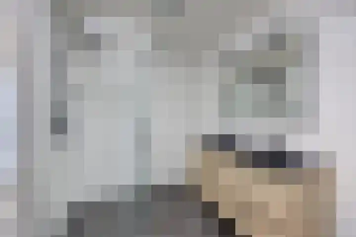 Jacob Catslaan 4 Etten-Leur thumbnail 25