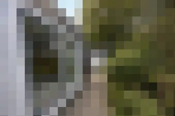 Jacob Catslaan 4 Etten-Leur thumbnail 30