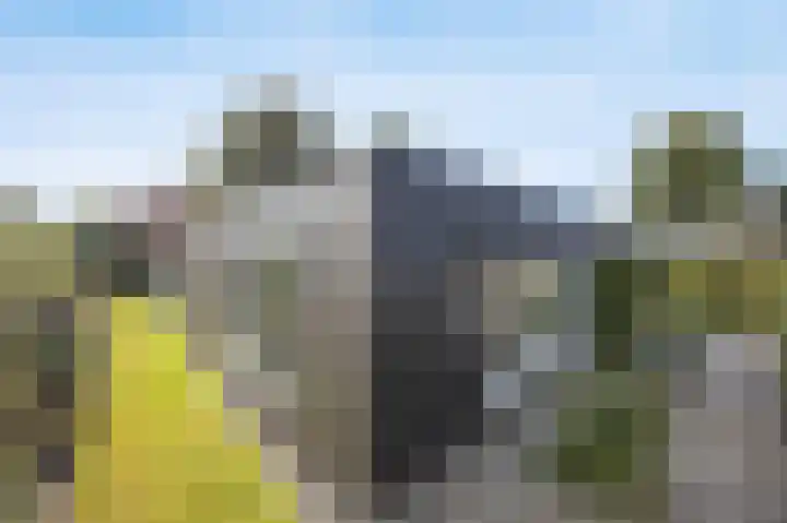 Jacob Catslaan 4 Etten-Leur thumbnail 35