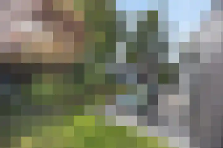 Jacob Catslaan 4 Etten-Leur thumbnail 36