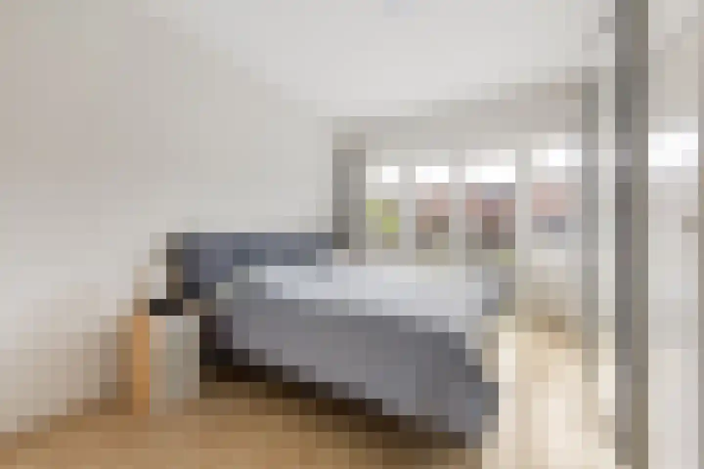 Jacob Catslaan 42 Leiden thumbnail 13