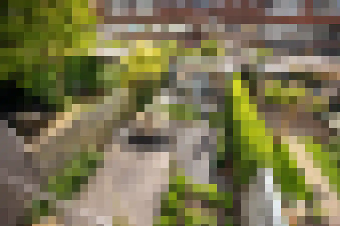 Jacob Catslaan 42 Leiden thumbnail 23