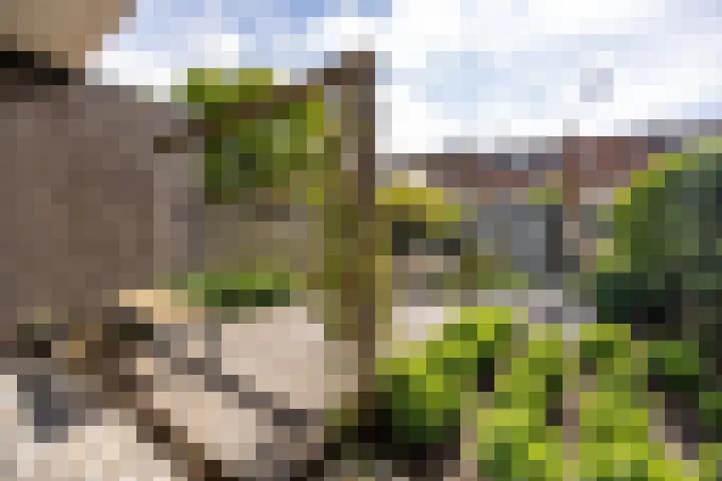 Jacob Catslaan 42 Leiden thumbnail 25