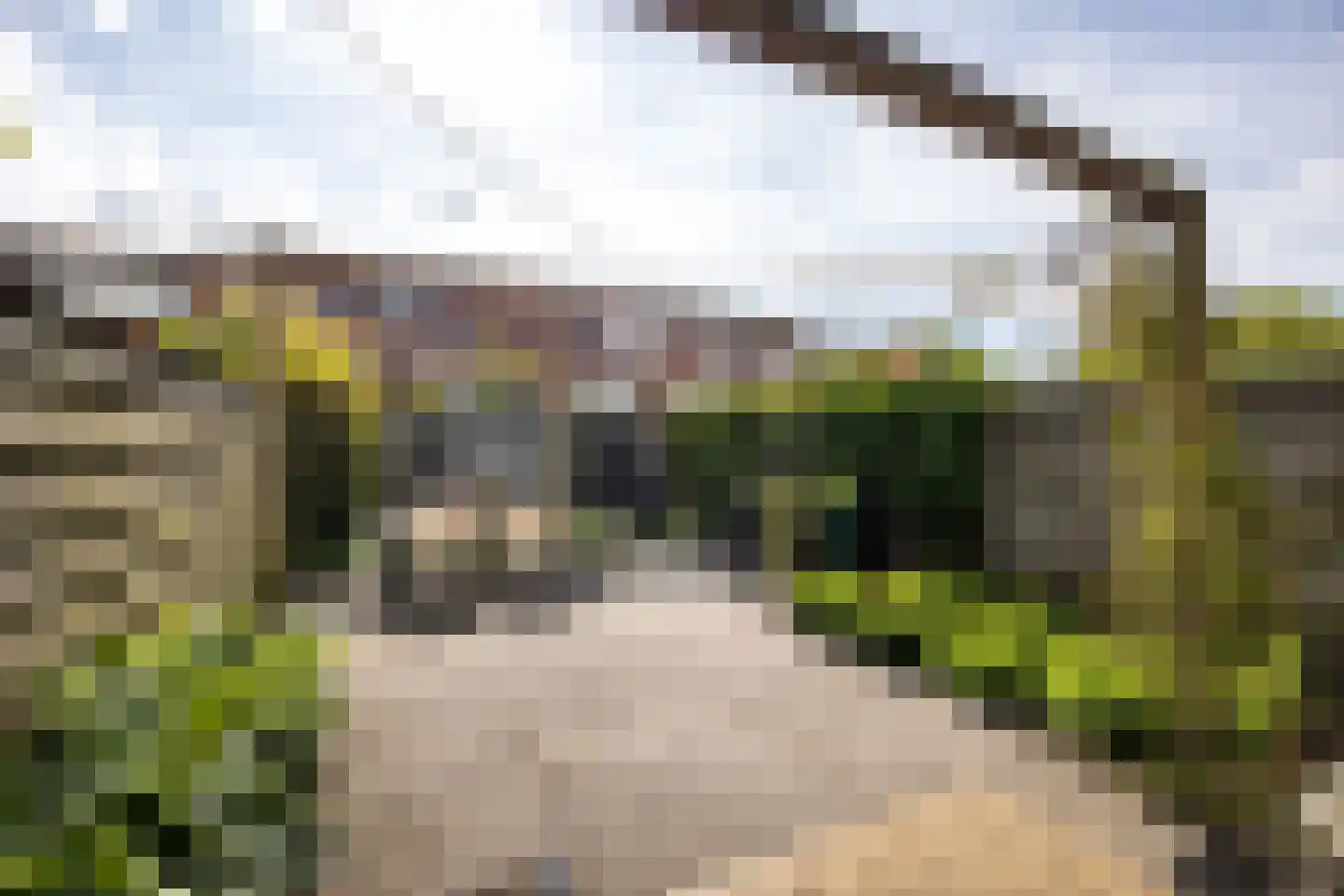 Jacob Catslaan 42 Leiden thumbnail 26